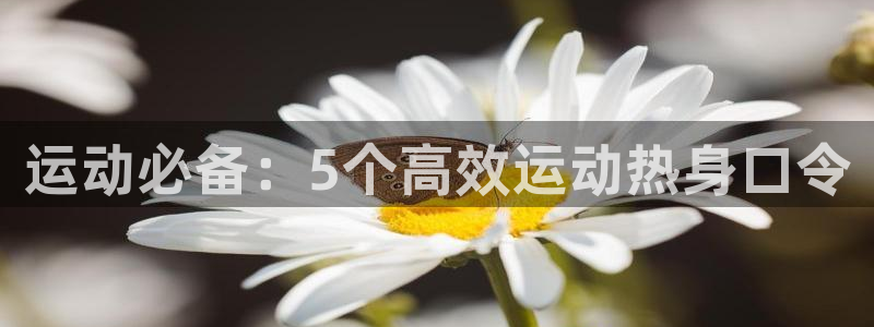 三亿体育网页版：运动必备：5个高效运动热身口令