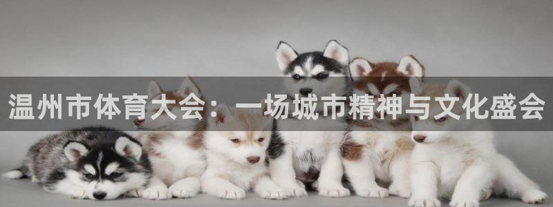 三亿体育：温州市体育大会：一场城市精神与文化盛会
