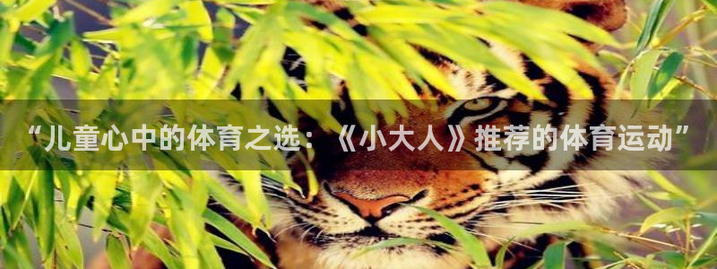 三亿体育网：“儿童心中的体育之选：《小大人》推荐的体育运动”