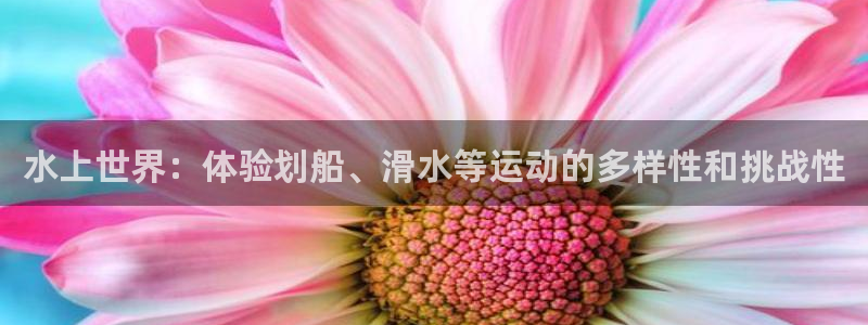 三亿体育网：水上世界：体验划船、滑水等运动的多样性和挑战性