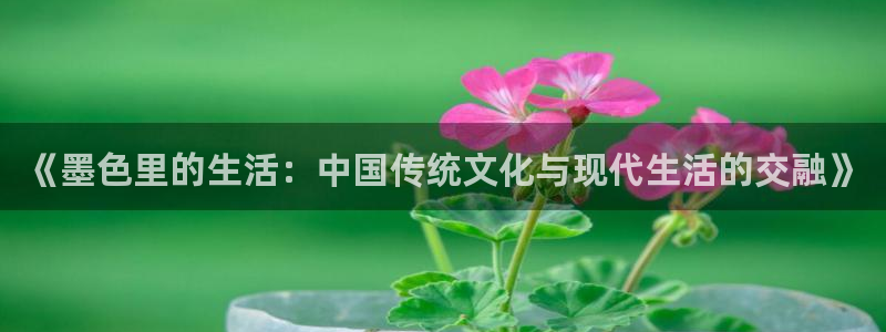 三亿体育：《墨色里的生活：中国传统文化与现代生活的交融》