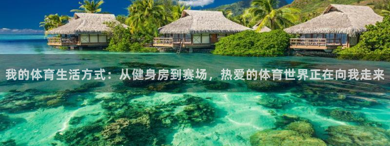 三亿体育网：我的体育生活方式：从健身房到赛场，热爱的体育世界正在向我走来